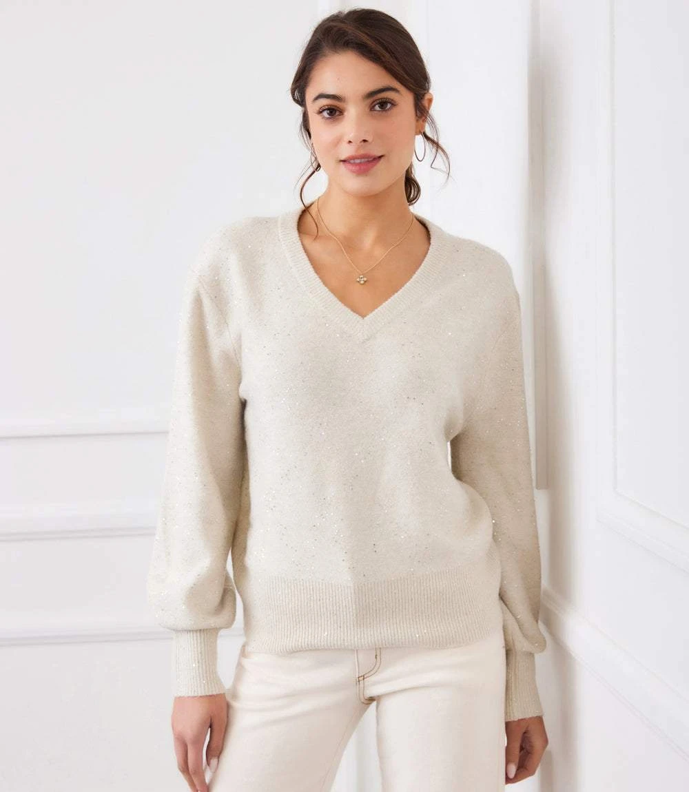 Sequin V-Neck Sweater 3 Sequin V-Neck Sweater