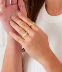 Leopard Crystal Ring -Karen Kane Store 5D0B5D0E D134 4335 B0FD 0E39129D227B